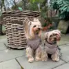 Ollipet Aarhus Hundejakke også til yorkshier terrier