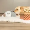 Blød plysbamse til hunde med juledesign