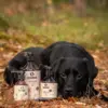 Omega-3 til hunde understøtter hud og pels.