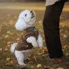 Her ses Sally som er en Coton med sweateren. Hun har sweateren med ryglængde 35 på