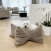 Bomuldshund i Ollipet StarNest Teddy Hundeseng