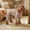 Ollipet Cozy Warmer | Body Warmer