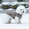 Elegant vinterjakke til små og mellemstore hunde med vatteret fyld