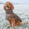 Den perfekte hundejakke til vinter
