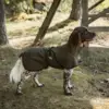 Stilfuld olivenfarvet hundejakke fra BOT
