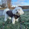 Sally i Ollipet Mokkashielt Termojakke og Ollipet Camel Sweater str. XL