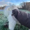 Sæt med lækker hundesweater og mokkafarvet vinterjakke
