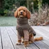 Vindtæt, vandafvisende og stilfuld – Alpine Explorer Hundejakken beskytter din hund mod vinterens vejr