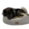 Stor og støttende hundeseng