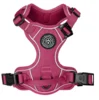 Wagging Tails Adventure Hundesele | Sweet Cherry