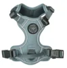 Wagging Tails Adventure Hundesele | Clody Blue
