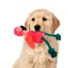 AFP Plys Flamingo her sammen med en Golden Retriver hvalp