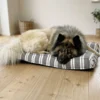 Giv din hund et komfortabelt hvilested på en Ozami Hundemadras