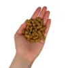 Faunakram kattegodbidder med kylling og tang crunchy og blød midte i hånden