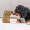 Capybara bamse til hunde er perfekt til både leg og puttetid