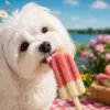 PupFun Milkshake is | Jordbær 2stk.