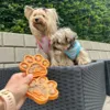 Forkæl din hund med en kølende spiselig slikkeplade