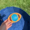 Perfekt vandlegetøj til din hunds pool