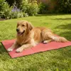Kølemåtte til hund på varme sommerdage