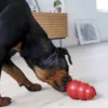 Kong Original str. XXL
