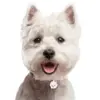My Family |Hundetegn West Highland White Terrier