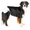 Trixie hundeble | Renlighedstræning