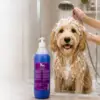 KW LUX Shampoo 1L