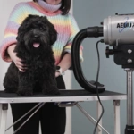 Aeolus Aeolian Blower til hunde