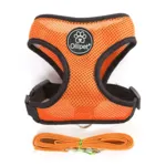Ollipet sele og line sæt| Mesh | Orange