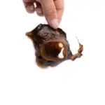 Snack'it Hestehud | 200g