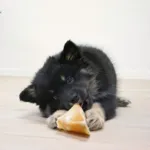 Snack'it Kalveklov