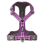 DOG Copenhagen Comfort Walk Air™ selen | Step in