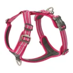 DOG Copenhagen Comfort Walk Air™ selen | Step in