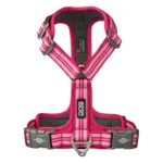 DOG Copenhagen Comfort Walk Air™ selen | Step in