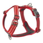 DOG Copenhagen Comfort Walk Air™ selen | Step in