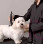 Ollipet Groomingjakke
