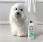 #1 ALL SYSTEMS | Professional Formula Whitening Shampoo | OUTLET