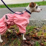 Ollipet regndragt til hunde | Color Collection | OUTLET