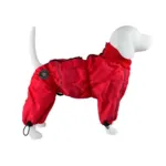 Ollipet regndragt til hunde | Color Collection | OUTLET