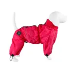 Ollipet regndragt til hunde | Color Collection | OUTLET