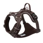 True Love Explosion Proof | Hundesele → Brun
