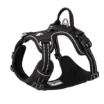 True Love Explosion Proof | Hundesele → Sort