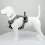 TrueLove Explosion Proof | LUKSUS Hundesele