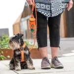DOG Copenhagen Urban Rope Leash