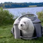 Ollipet Luksus Odysse Transporttaske