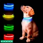 Ollipet The Stripe LED Collar | Halsbånd med lys
