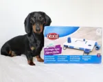 Trixie Move2win | Aktivitetsspil level 3