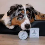 Ollipet Naturlig Potevoks | 60g