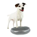 Ollipet Balancepude