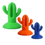 AFP Dental Cactus